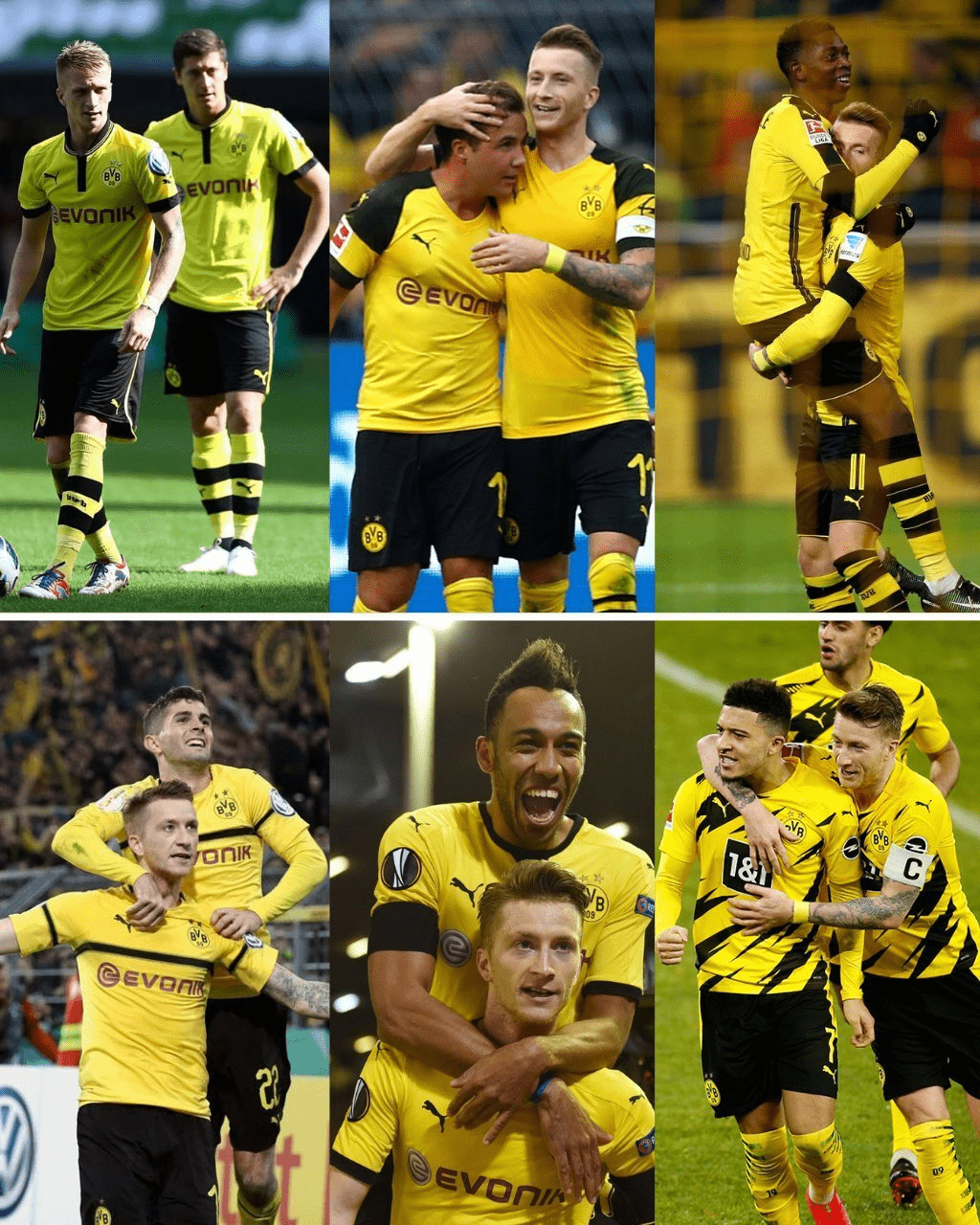 体育直播-大卫本纳维德兹全部比赛视频